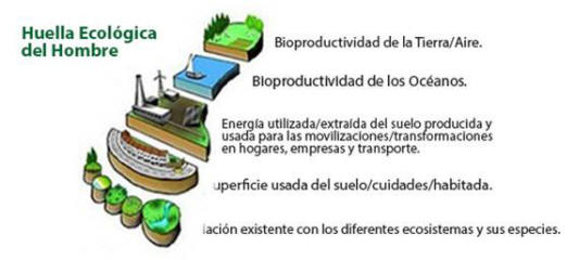 Huella ecológica